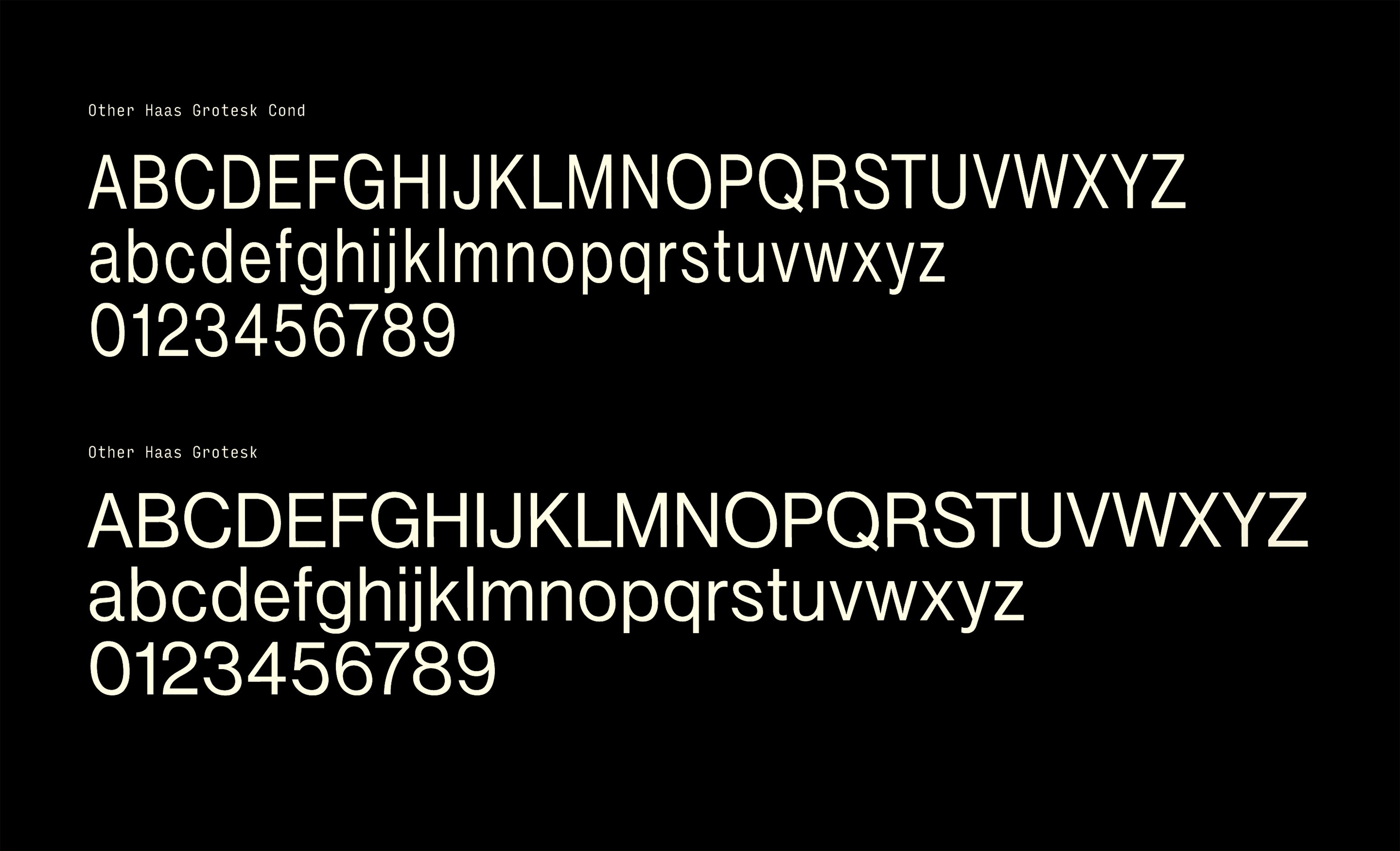 Typography Image